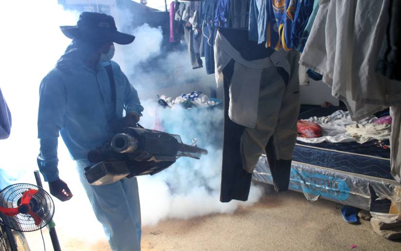 fumigacion